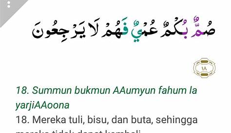 Surah Baqarah Ayat 4, 5 - Alladheena Yu'minoona Bimaa Unzila Ilaik Wa