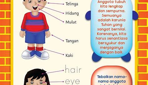 Anggota Tubuhku Sempurna | Ebook Anak | Tubuh sempurna, Bahasa inggris
