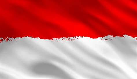 Solidaritas Bersama Indonesia Maju: No Kemalasan!