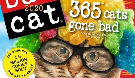 Bad Cat Desk Calendar | Bad cats, Cat colors, Pretty cats