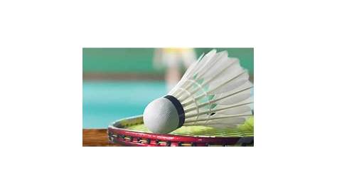 P6110088 | Badminton Club d'Epinay-sous-Sénart | Flickr