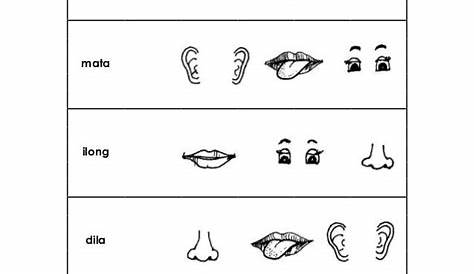 Laminated Educational Chart - Bahagi ng Katawan Chart Boy and Girl A4