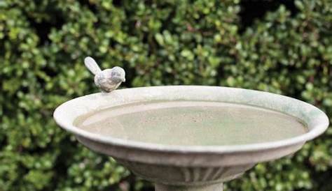 Baignoire Oiseaux Bain D Oiseau Fonte Sur Pied Vente Au Meilleur Prix