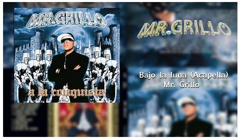 BAJO LA LUNA MR GRILLO KARAOKE - YouTube