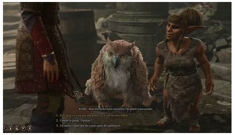 Baldur's Gate 3: How To Get The Owlbear Cub - Muscat-Holiday