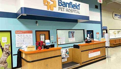 Veterinarians in Greensboro (S) | Banfield Pet Hospital®