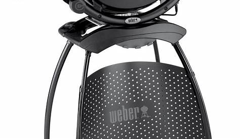 Barbecue Weber Q2400 Review Electric Portable Grill Reviews