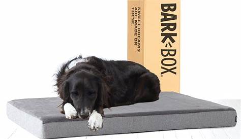 Bark Memory Foam Dog Bed Box Multiple Sizes Colors Plush Orthopedic