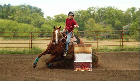 A Beginner's Guide To Barrel Racing | Barrel racing horses, Barrel