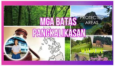 MGA BATAS PANGKALIKASAN (Environmental Laws In The Philippines)BY
