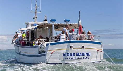 bateau a Talmont saint hilaire | Saint hilaire, Insolite, Bateau