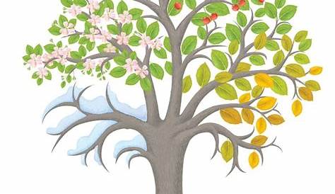 4 Jahreszeiten Baum – Unterrichtsmaterial im Fach Fachübergreifendes