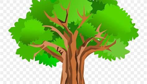 1500x2000 Family Tree Template No Leaves Tree Without Leaves Coloring