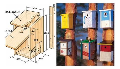 Vogelhaus selber bauen: Anleitung | Bird house plans, Bird houses