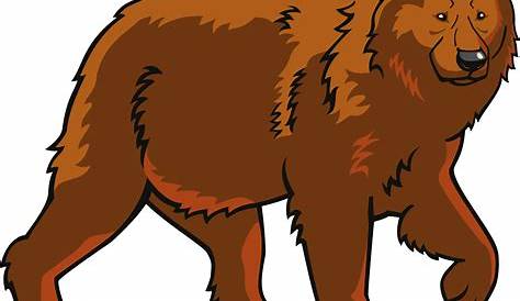 Image of bears clipart 0 cute brown bear free clip art - Cliparting.com