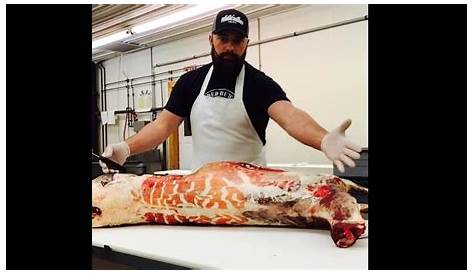 A Professional Butcher Teaches How To Butcher a Whitetail Deer - Homesteady