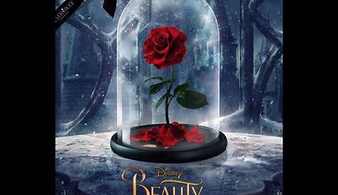 Beauty And The Beast Golden Rose Wallpapers Wallpaper Cave