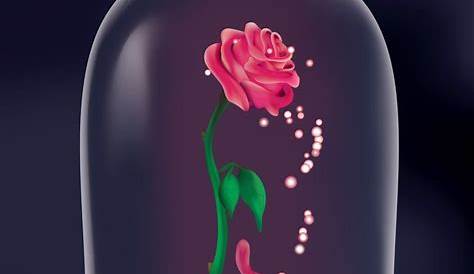 Beauty And The Beast Rose Meaning Love Disney Deviantart Is World's Largest