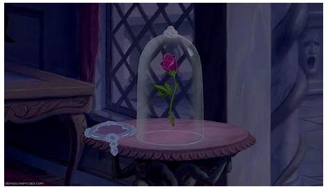 Beauty And The Beast Rose Scene Wallpaper Movie