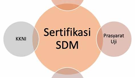 PMSM Indonesia - SKKNI & KKNI MSDM