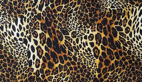 Beige Animal Print Wallpaper Cute Leopard Top Free Cute Leopard Backgrounds