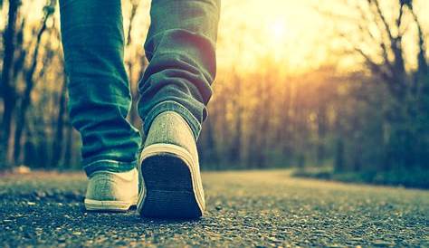 10.000 Schritte - gesund durch Spazieren gehen | ERGOimpulse