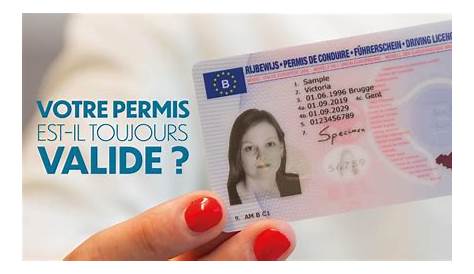 Comment obtenir son permis de conduire en belgique | Mayonnaise