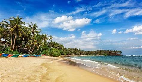 Top 5 des plus belles plages du Sri Lanka