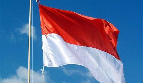 Bendera Indonesia Negara - Gambar vektor gratis di Pixabay