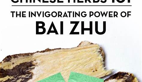 Top Atractylodes Benefits (Bai Zhu) | How To Use & Where To Buy
