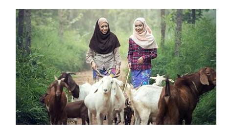 Berqurban Untuk Orang Yang Sudah Meninggal - Pesantren Darusy Syahadah