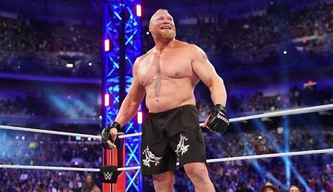 Highly Rated 20 Best Brock Lesnar Matches Wwe -According To Experts – BNB