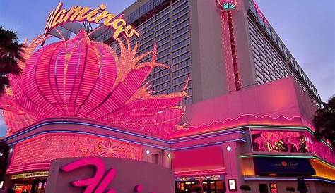 L’hôtel Flamingo