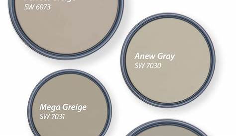 Best Greige Paint Colors 2018 Sherwin Williams Ten Gray Sherri Blum