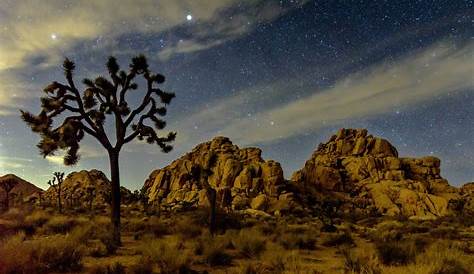 The Best Campgrounds in (and Near) Joshua Tree National Park - Amateur