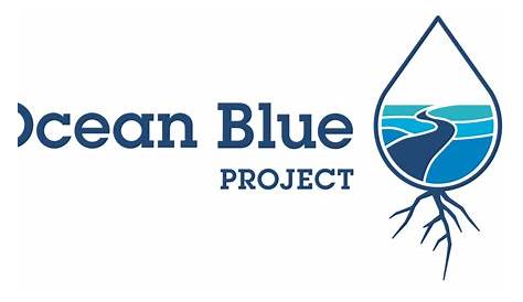 Ocean Cleanup Donation Best Ocean Cleanup Charity