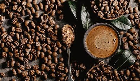 10 Best Organic Coffee Beans of 2021 - Reviews & Buying Guide