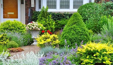 Best Plant For Landscaping