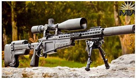 TOP 10 BEST SNIPER RIFLES IN THE WORLD