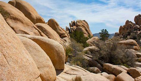 Visit Joshua Tree National Park! Click on the image for guides and