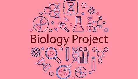 Biology project | class 9 - YouTube