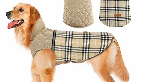 Best Winter Coat For Dogs 12 Coziest Dog s The Family Handyman
