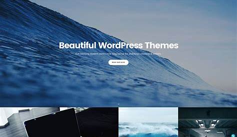 50 Best Minimalist WordPress Themes For Creatives 2020 – Avasta