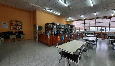 Sistema Bibliotecario