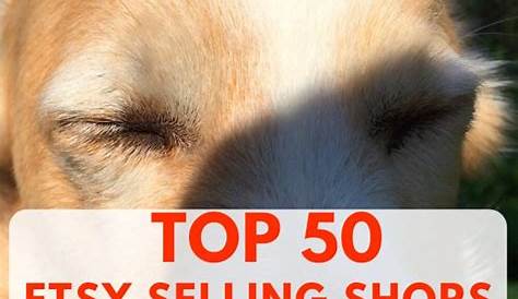 Biggest Seller On Etsy 2019 What To Sell 12 Best Selling Items