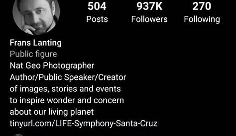Photographer Instagram BIO + PROFILE | Instagram bio, Photographers bio