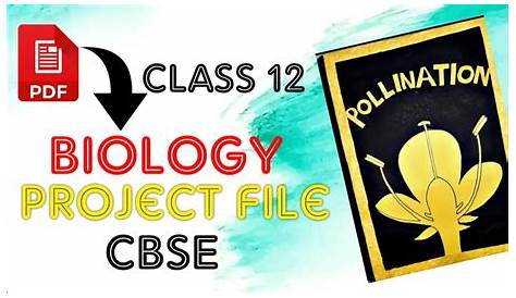 😃 Class 12 Biology Project File On POLLINATION|Pdf Download Link In