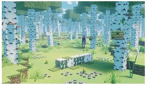 Birch Forest Update Minecraft