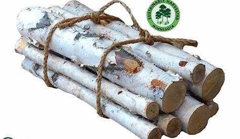 Birch Logs Lowes White Adinaporter