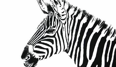 Wild Animals Black White Seamless Background Stock Vector (Royalty Free